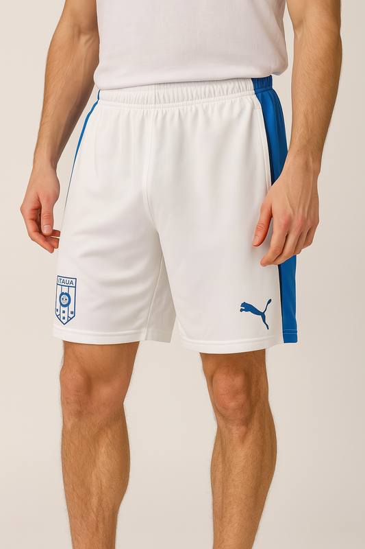 Short Sport Puma Homme